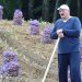 Անտեղի… լավություն