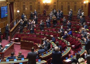 Երկակի չափանիշներից զերծ բանաձեւ՝ Ֆրանսիայի Սենատից