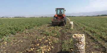 Նախ եւ առաջ՝ արդյունավետությունն ապահովող լուծումը գտնել