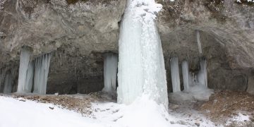 Հակարիի իմ սոսին