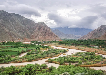Ձայնի իրավունք ունենում են կամայինները