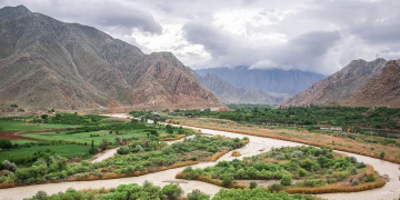 Ձայնի իրավունք ունենում են կամայինները