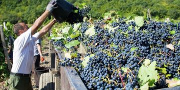 Նոր փոփոխություններով, բայց նախկին պայմաններով