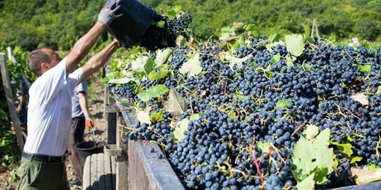 Նոր փոփոխություններով, բայց նախկին պայմաններով