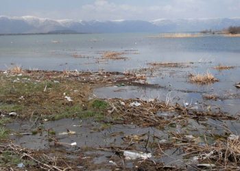 Այս տարի էլ Սեւանա լճի ջրածածկ տարածքները կմաքրվեն