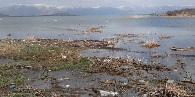 Այս տարի էլ Սեւանա լճի ջրածածկ տարածքները կմաքրվեն